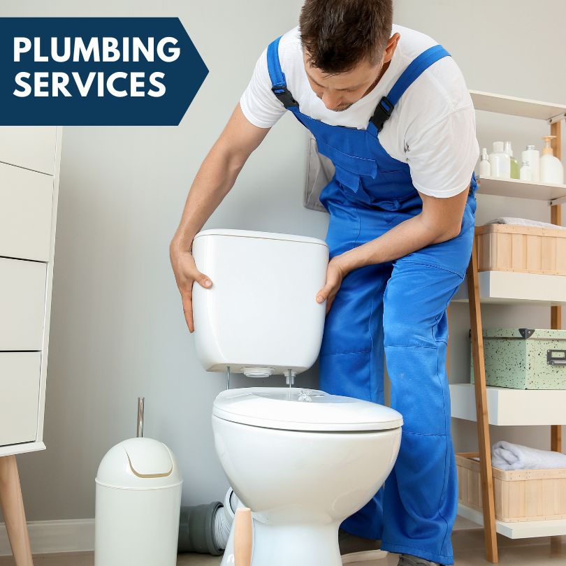 Plumbing Company in Darien, GA